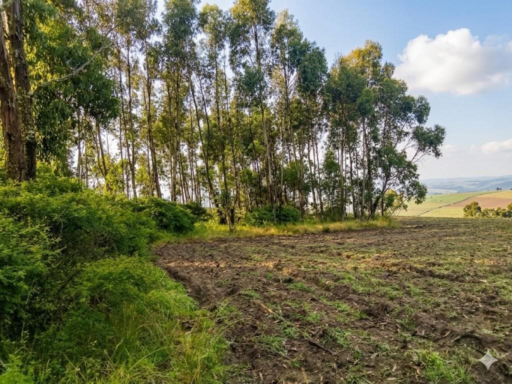 Terreno en Venta Malchingui — imagen 2
