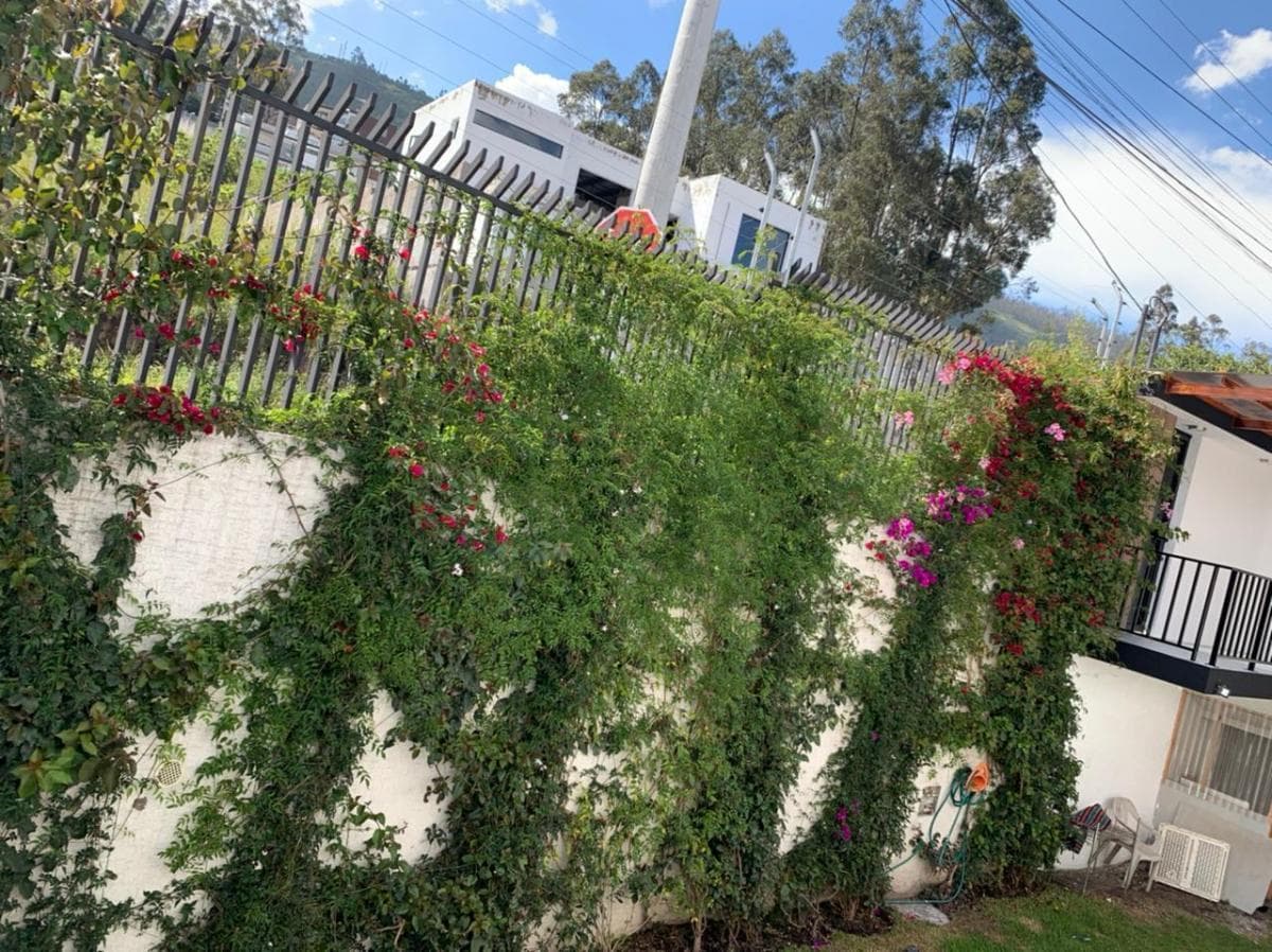 San Patricio Cumbaya Casa Nueva 4 Dorm., Jardín, 6 Parqueos, Terraza, Estudio, Seguridad — imagen 2