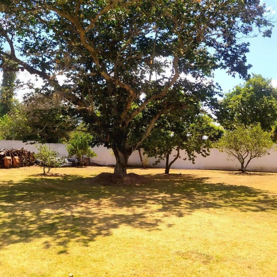 Casa con Terreno en Venta - Zona Estratégica de Tumbaco — imagen 7