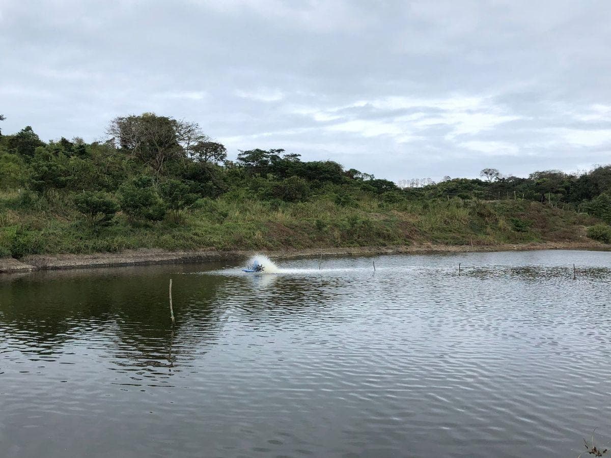 Terreno en venta en Pedernales, Manabí