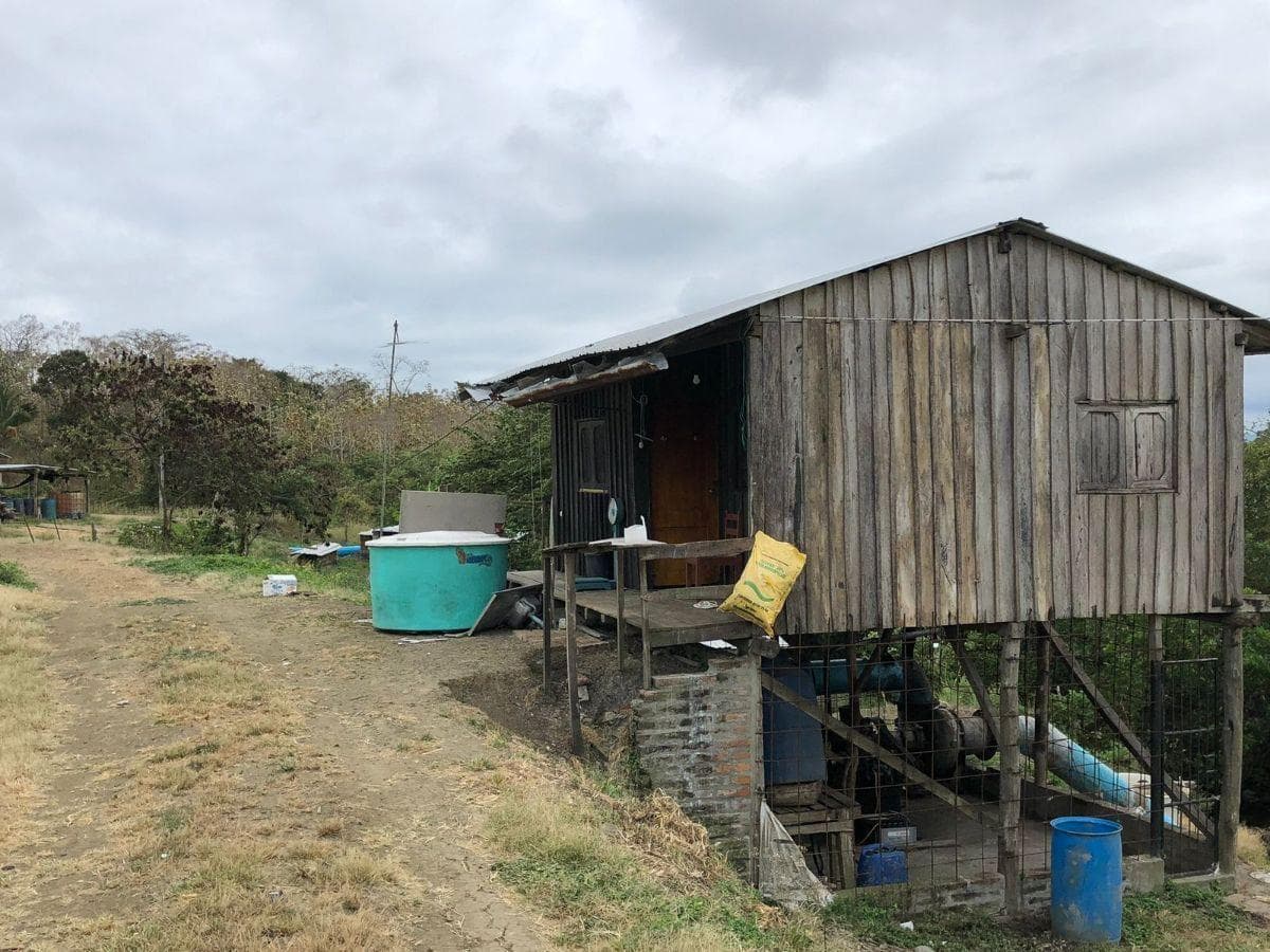 Venta Terreno con Área Para Producción Ganadera, Agricola y Camaronera – Cojimies, Manabí — imagen 3