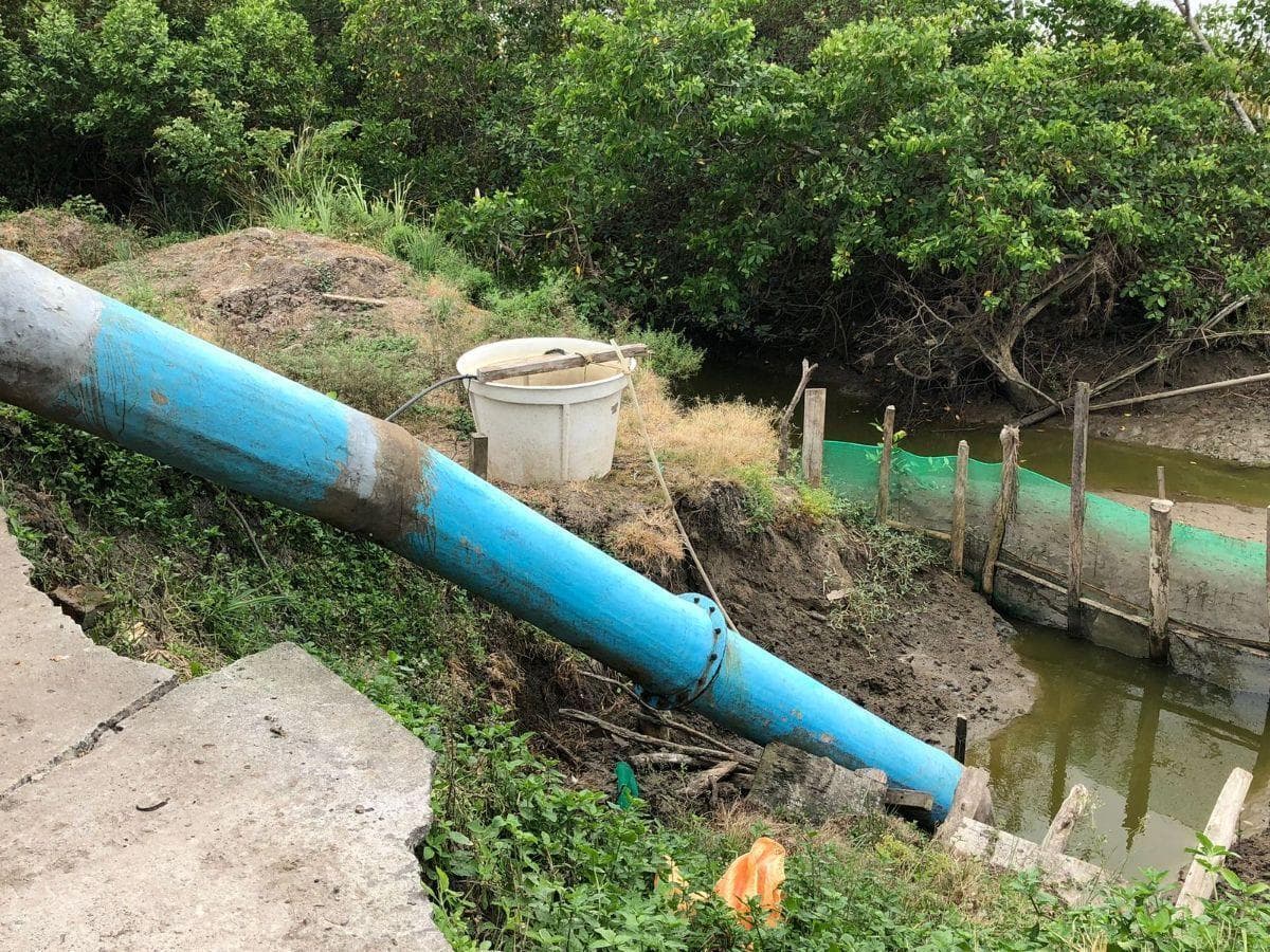 Venta Terreno con Área Para Producción Ganadera, Agricola y Camaronera – Cojimies, Manabí — imagen 2