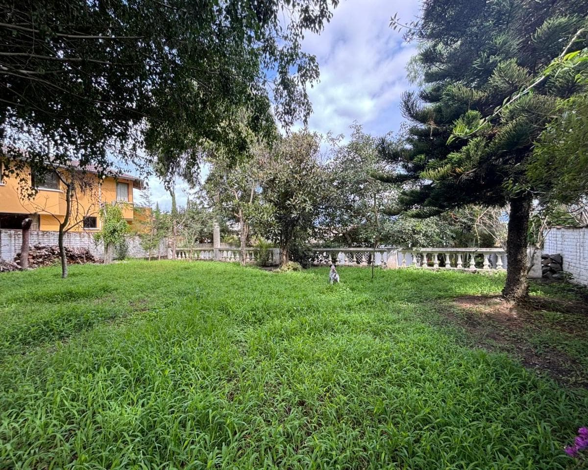 Terreno de Venta en Cumbaya Sector Universidad San Francisco — imagen 1