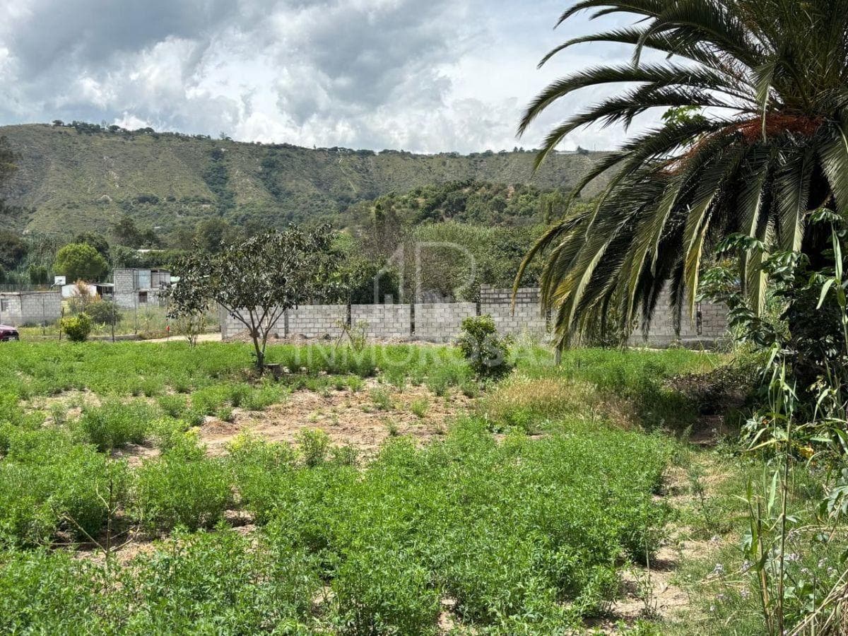 Hermoso Terreno $179.900 Excelente Ubicación 1.446,76 m² Zona Céntrica por La Av Simón Bolivar — imagen 10