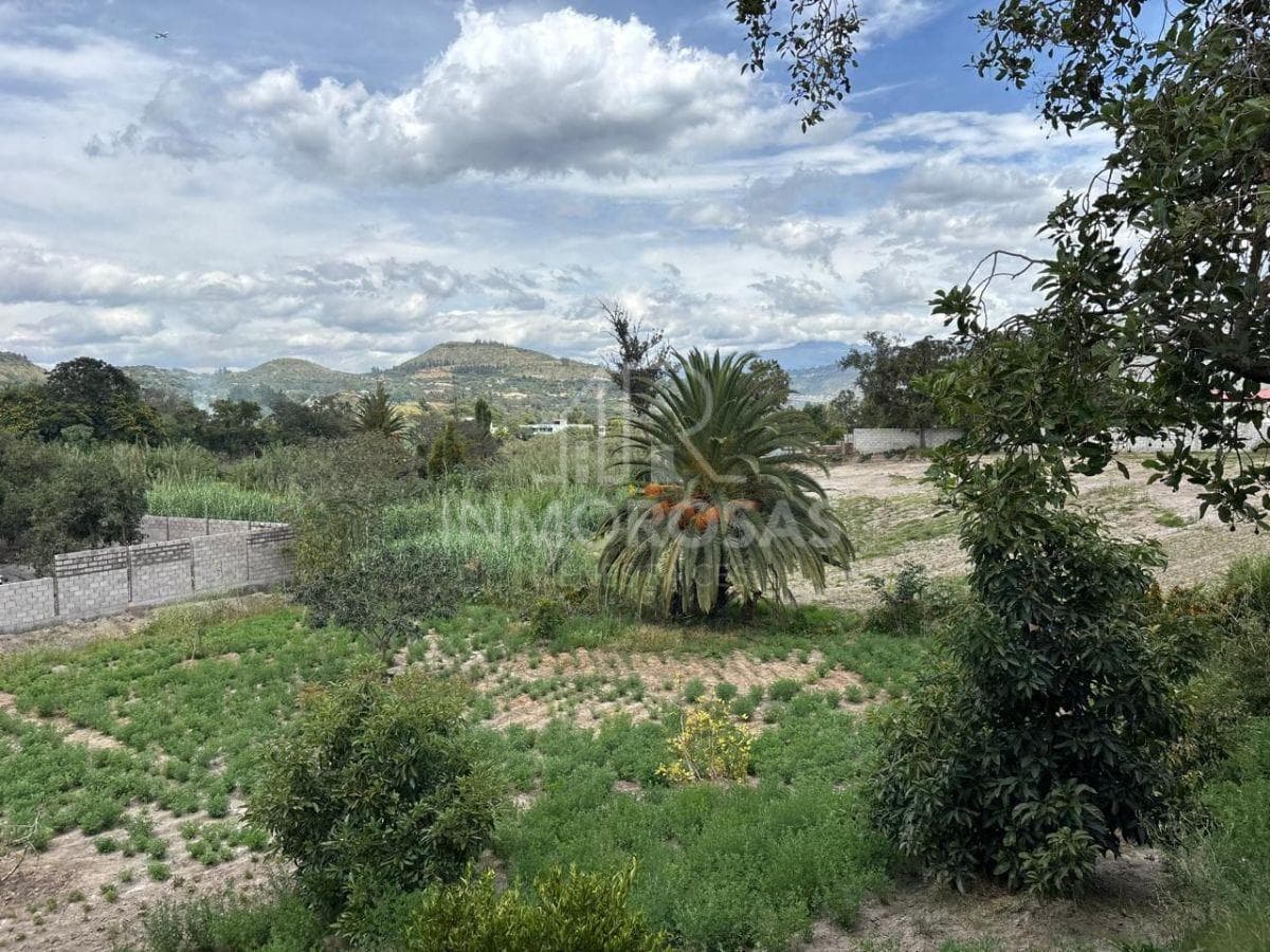 Hermoso Terreno $179.900 Excelente Ubicación 1.446,76 m² Zona Céntrica por La Av Simón Bolivar — imagen 4
