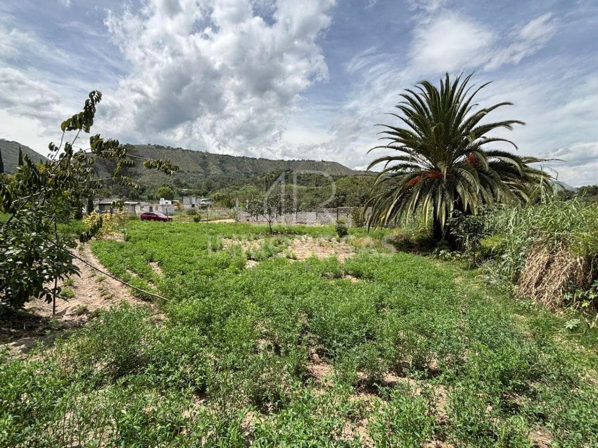 Hermoso Terreno $179.900 Excelente Ubicación 1.446,76 m² Zona Céntrica por La Av Simón Bolivar — imagen 2