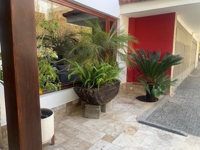 Vendo Casa Tumbaco Preciosa 480 m² Cont 600 m² Ter 4 Dorm $720.000 — imagen 10