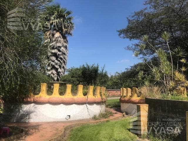 Tumbaco - Escalon de Tumbaco, La Morita, Terreno en Venta de 4.465 m² — imagen 5