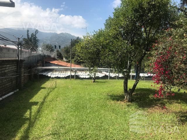 Tumbaco - Escalon de Tumbaco, La Morita, Terreno en Venta de 4.465 m² — imagen 4
