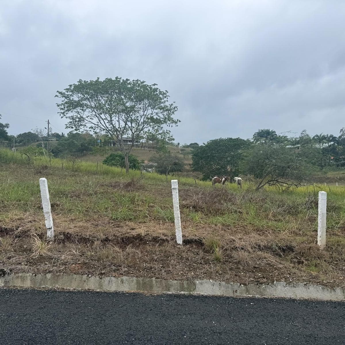 Se Vende Terreno en Urbanización Altos de Olón Joss — imagen 1