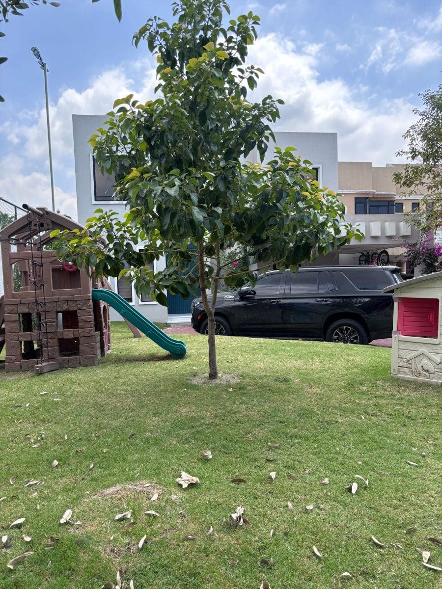 De Oportunidad Terreno en Venta Km. 8.5 Vía Samborondón, Guayas — imagen 5