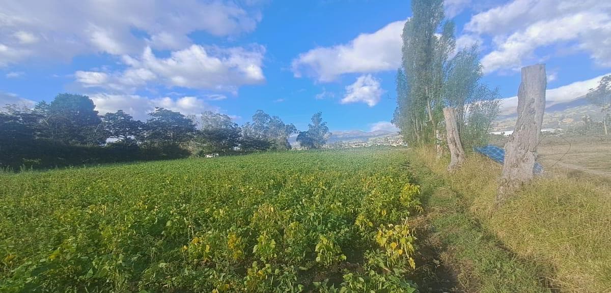 Vendo Terreno Agrícola Yaruquí Sector San Rafael Frente 50 m 9.500 m² — imagen 1