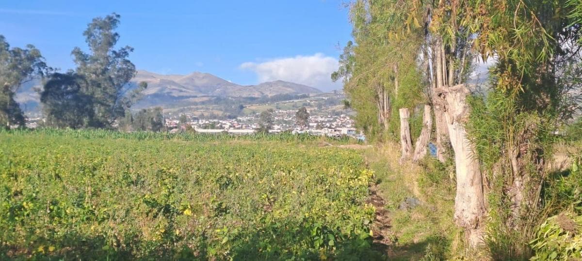Vendo Terreno Agrícola Yaruquí Sector San Rafael Frente 50 m 9.500 m² — imagen 8