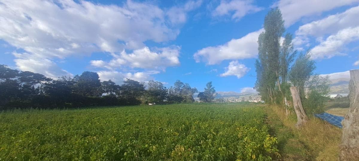 Vendo Terreno Agrícola Yaruquí Sector San Rafael Frente 50 m 9.500 m² — imagen 5