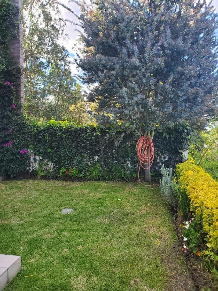 Vendo Linda y Amplia Casa - Cumbaya — imagen 5