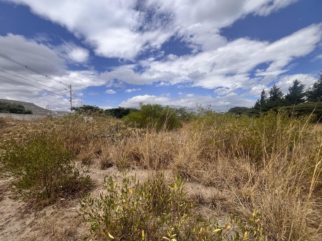 Terreno Campestre de 4,800 m² en Tanda de Tabacundo — imagen 5