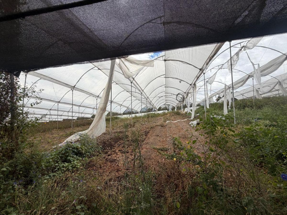 Propiedad en Venta 1,8 Has - Atuntaqui, Imbabura — imagen 5