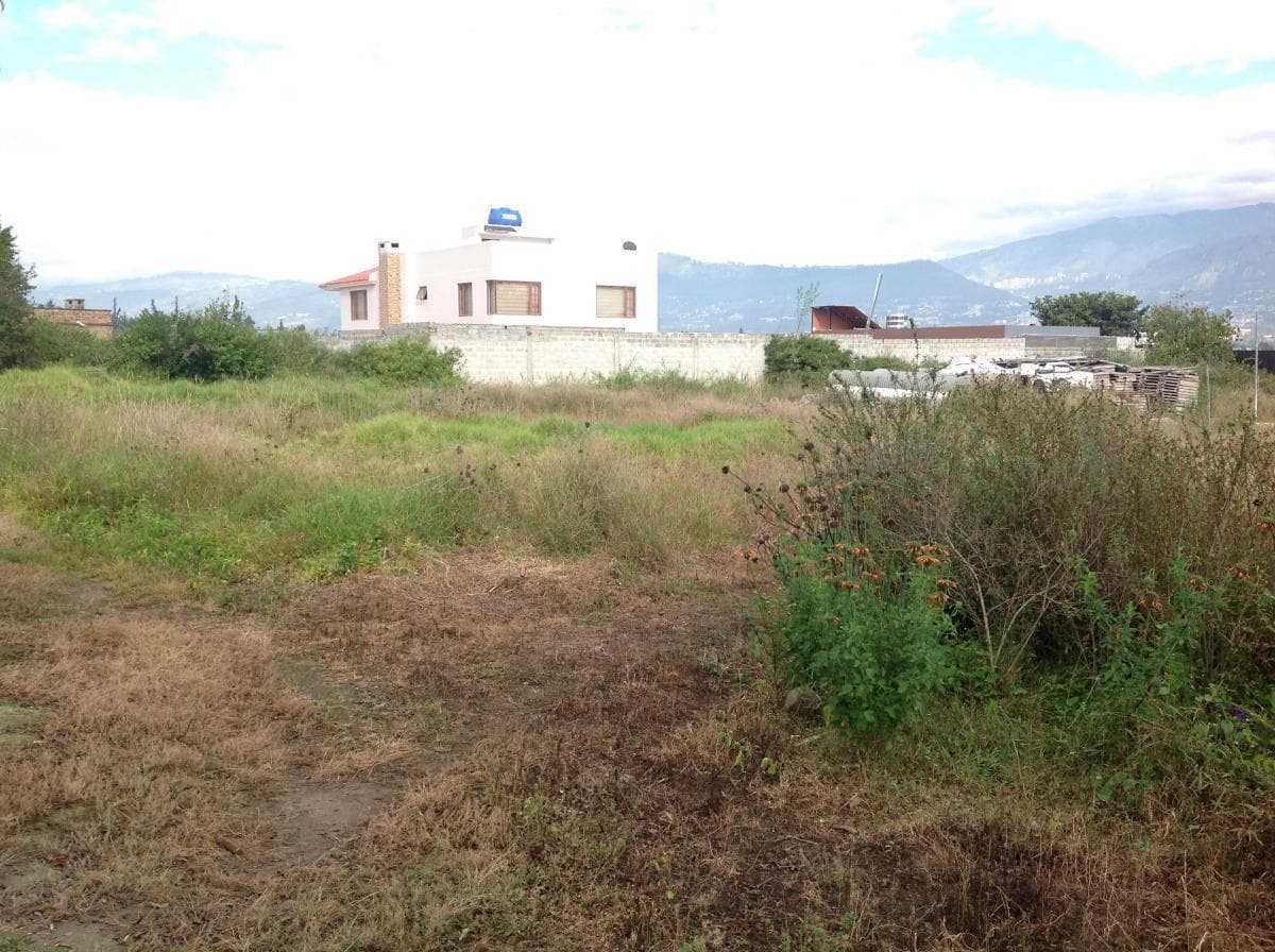 Venta Terreno de 4149 m² Oportunidad en Tumbaco Calle Aurelio Dávila — imagen 1