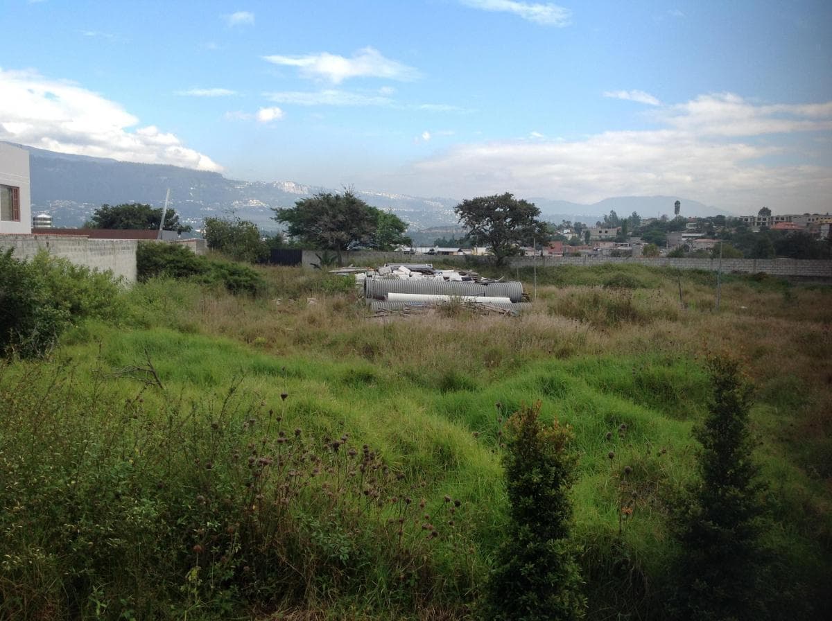 Venta Terreno de 4149 m² Oportunidad en Tumbaco Calle Aurelio Dávila — imagen 7