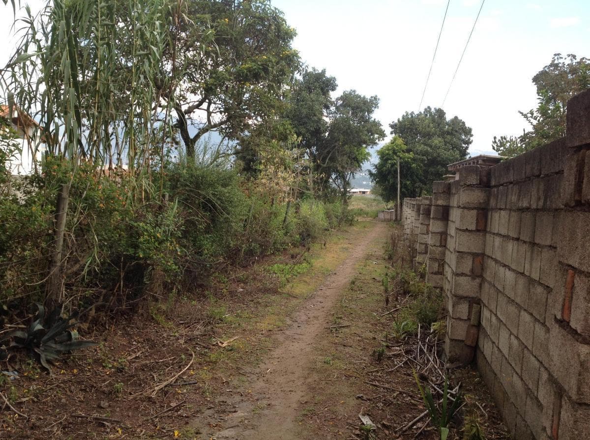 Venta Terreno de 4149 m² Oportunidad en Tumbaco Calle Aurelio Dávila — imagen 6
