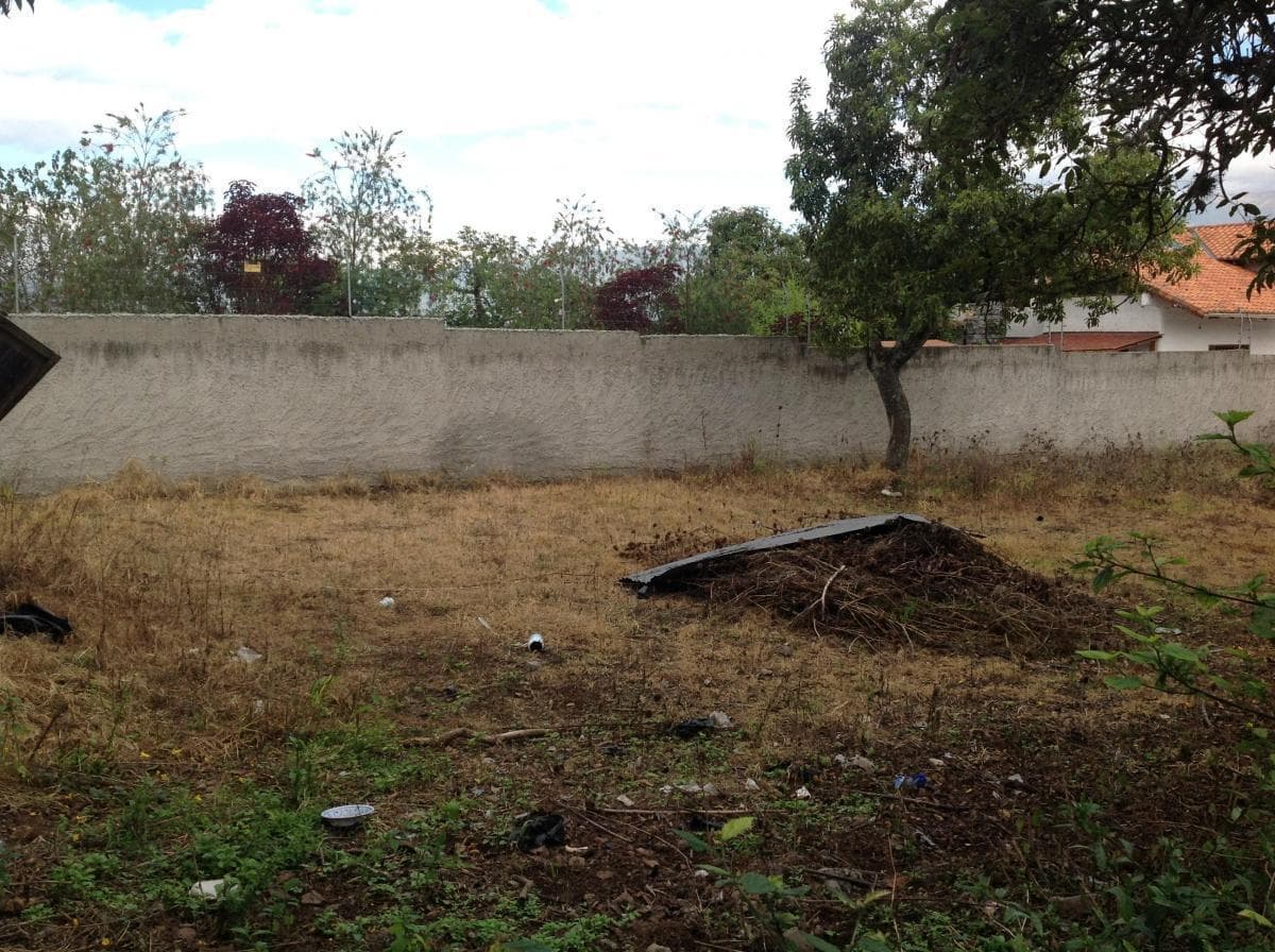 Venta Terreno de 4149 m² Oportunidad en Tumbaco Calle Aurelio Dávila — imagen 5