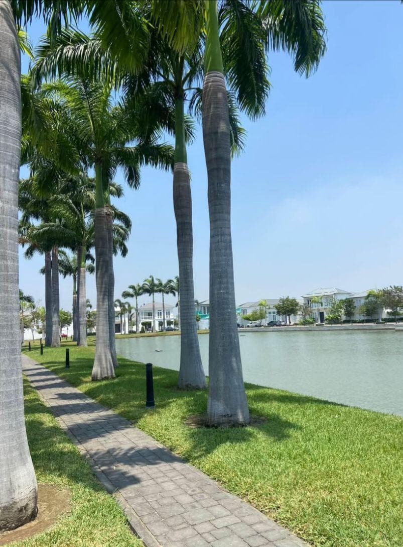 Aires del Batan - Casa con Diseño Exclusivo Frente Al Lago en Venta -, Guayas — imagen 4