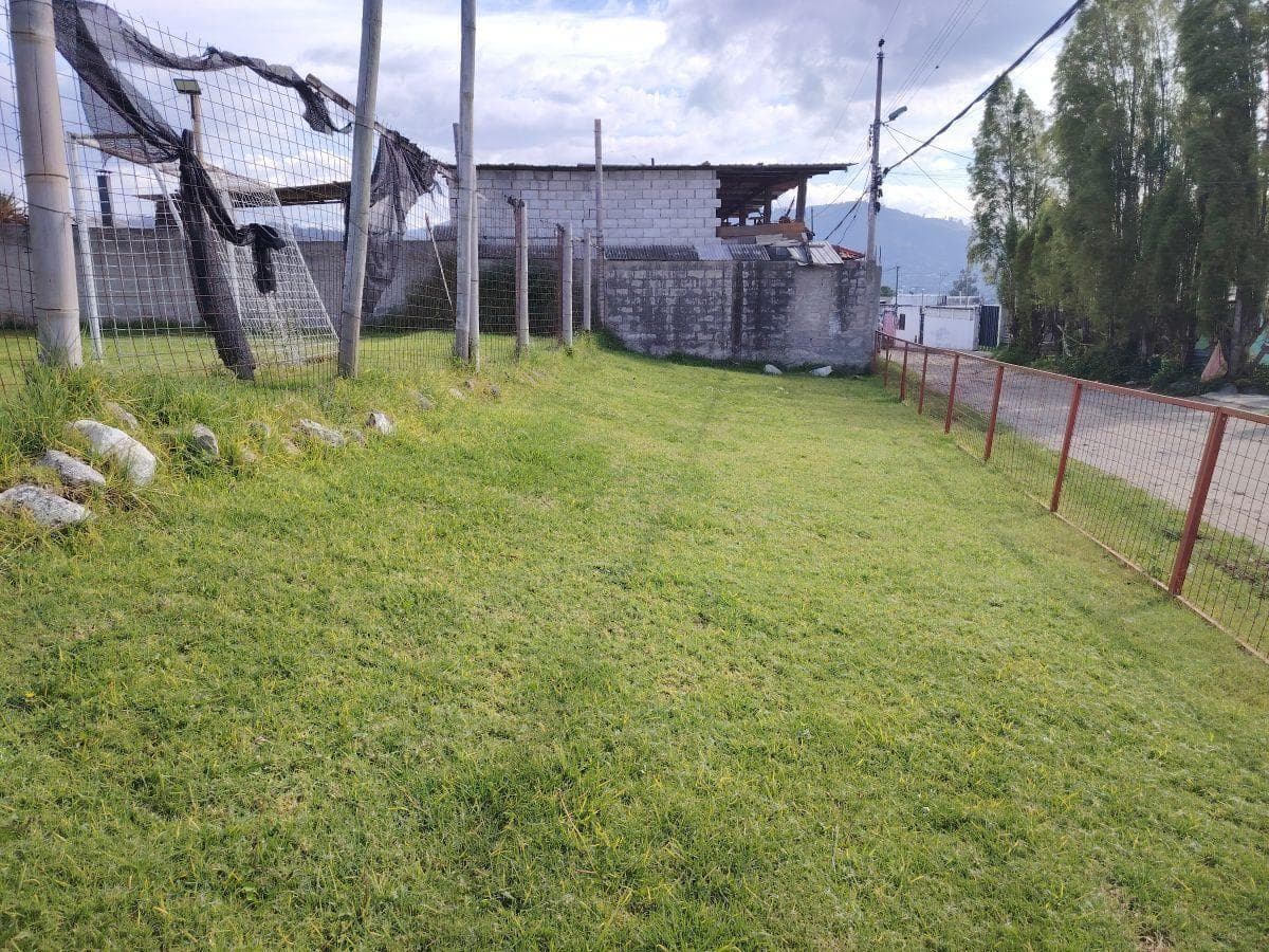 Rento Terreno de 2600 m² con Casa Ideal Negocios Sector Tola Chica - Tumbaco — imagen 10
