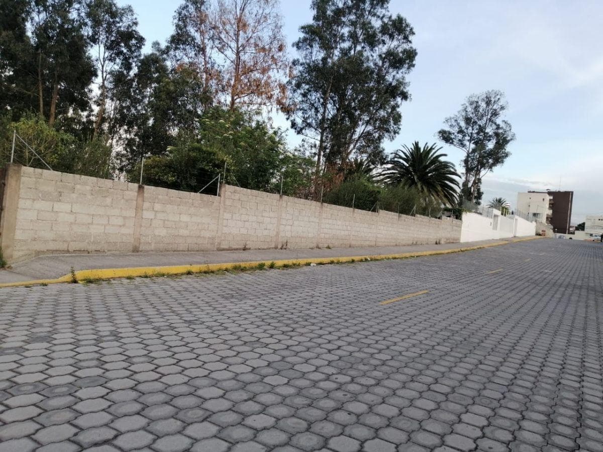 Vendo Terreno Plano de Oportunidad Para Proyecto Inmobiliario, Colegio, Asilo — imagen 8