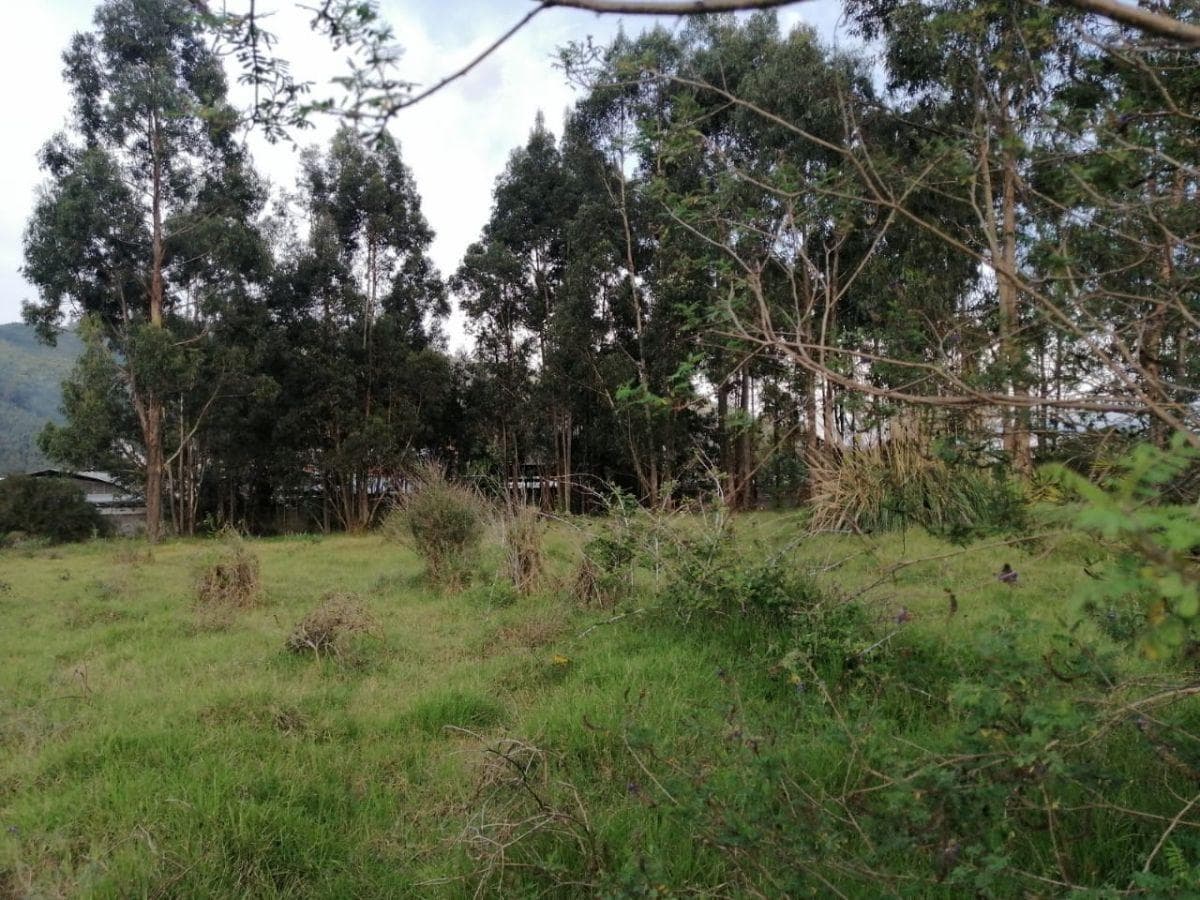 Vendo Terreno Plano de Oportunidad Para Proyecto Inmobiliario, Colegio, Asilo — imagen 5