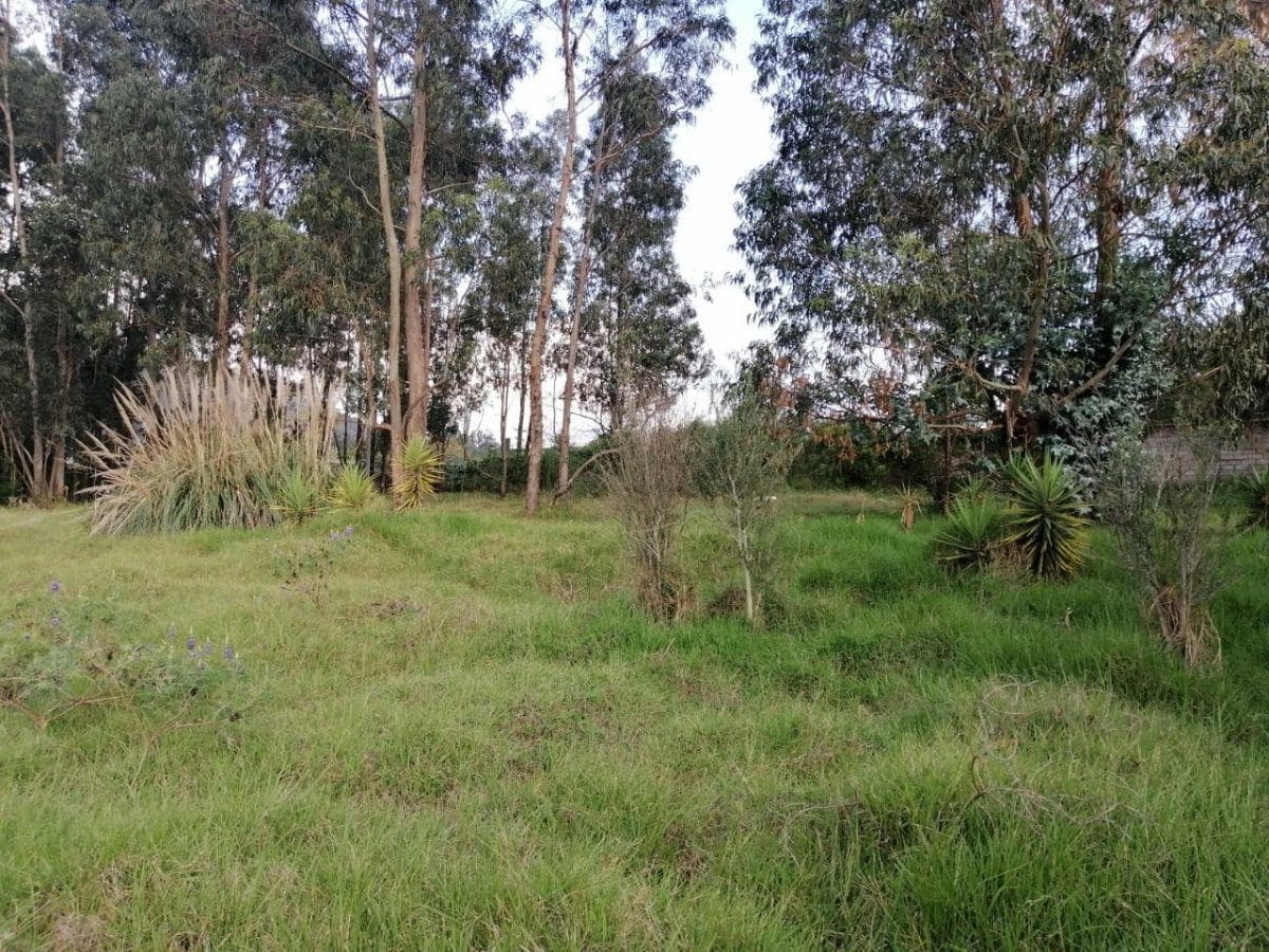 Vendo Terreno Plano de Oportunidad Para Proyecto Inmobiliario, Colegio, Asilo — imagen 3