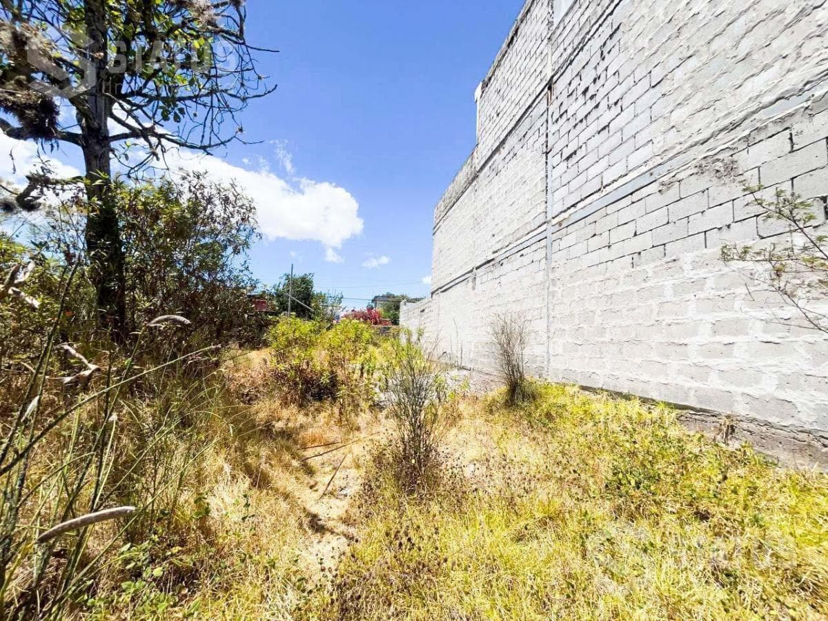 Venta de Terreno Independiente en La Armenia I Junto Al Liceo Naval — imagen 7