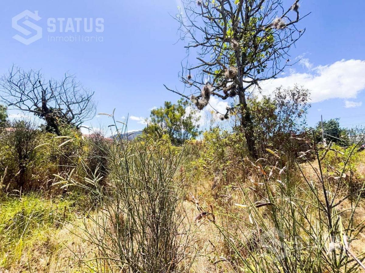 Venta de Terreno Independiente en La Armenia I Junto Al Liceo Naval — imagen 5