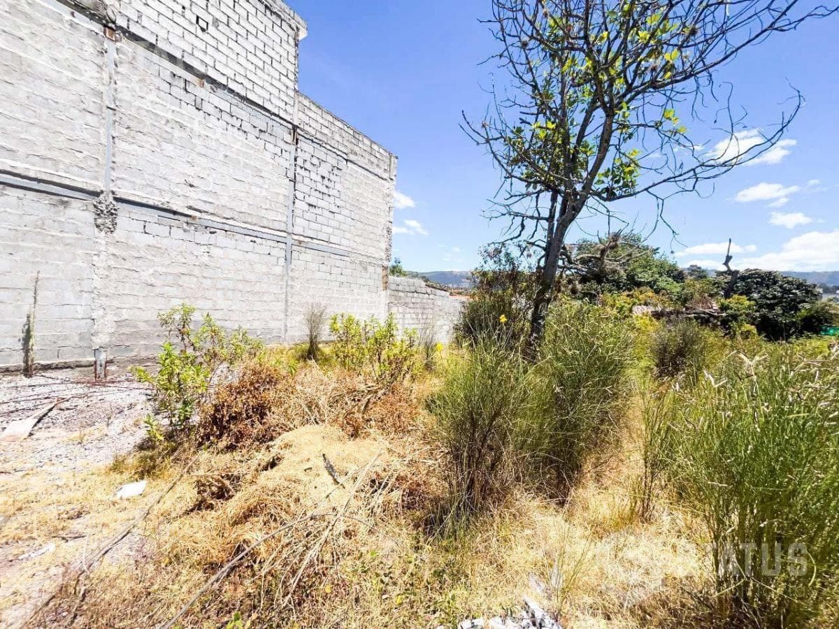 Venta de Terreno Independiente en La Armenia I Junto Al Liceo Naval — imagen 4