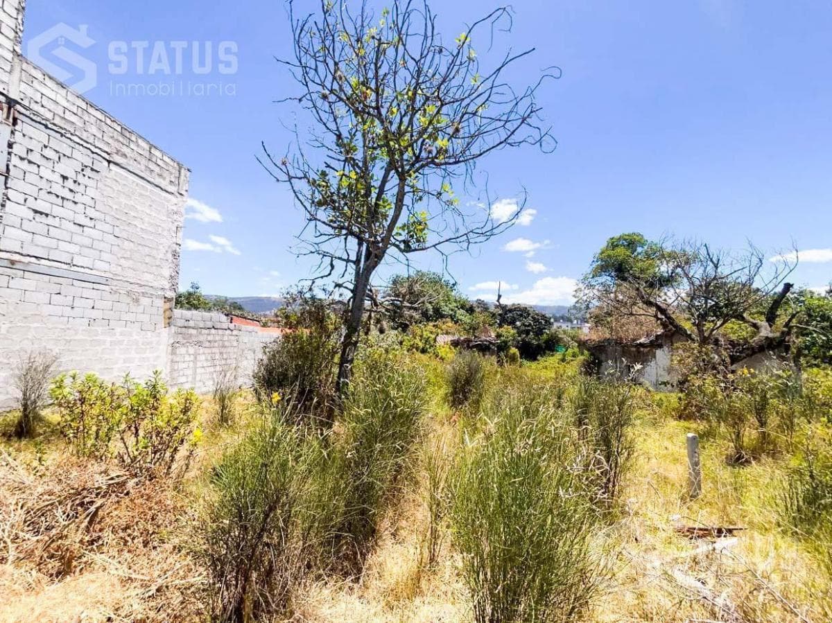 Venta de Terreno Independiente en La Armenia I Junto Al Liceo Naval — imagen 3