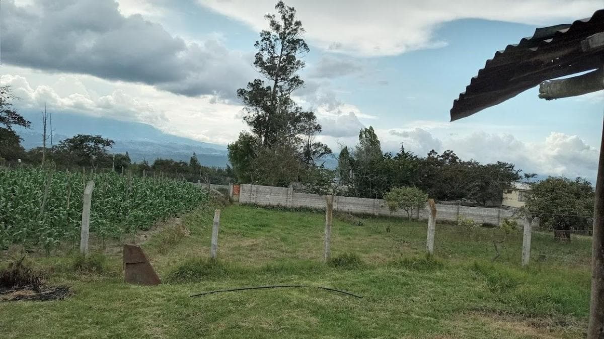 Vendo en Checa Excelente Terreno 1050 m² con Casa — imagen 7