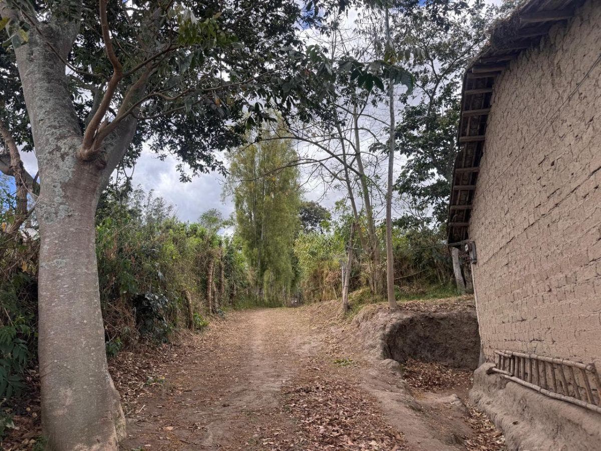 Terreno en Venta de 4.980 Yaruquí — imagen 9