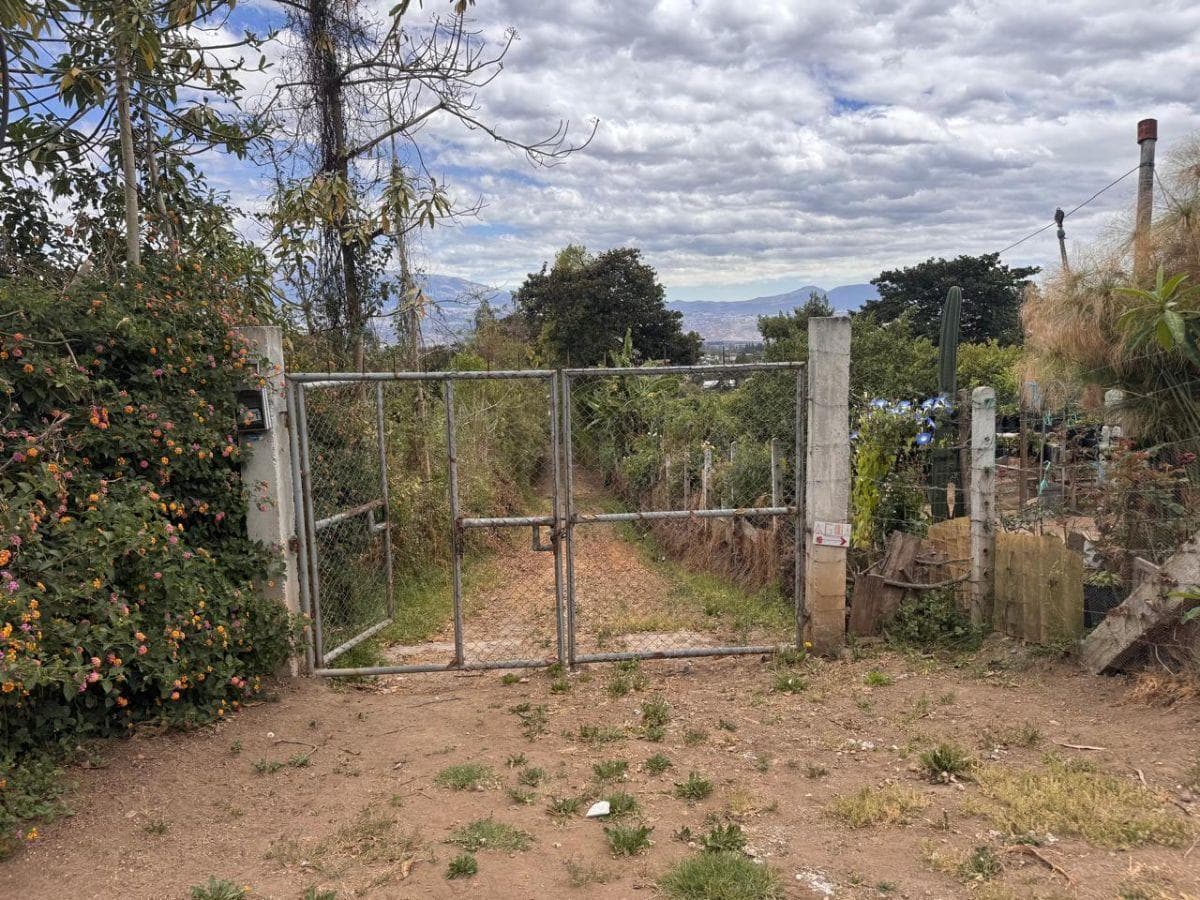 Terreno en Venta de 4.980 Yaruquí — imagen 6