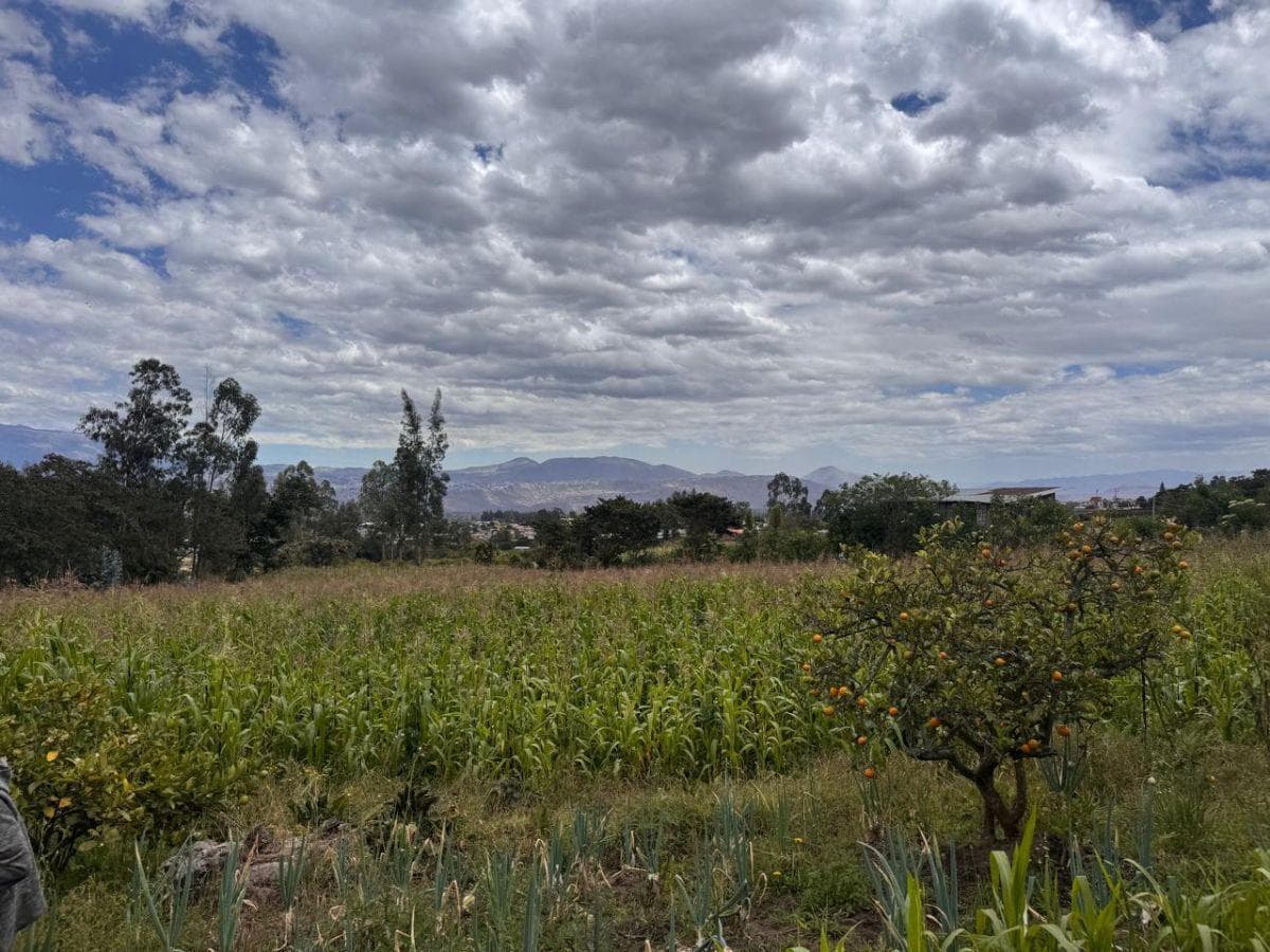 Terreno en Venta de 4.980 Yaruquí — imagen 3