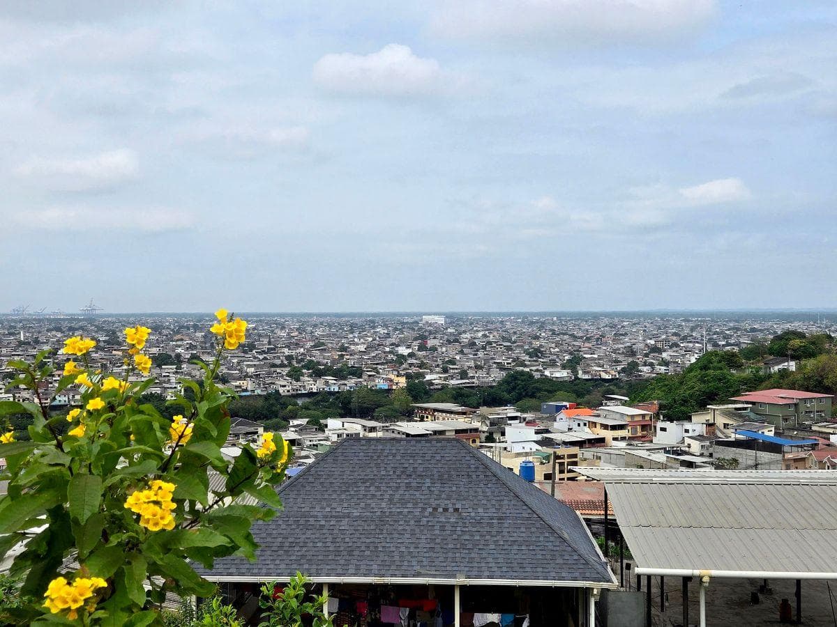 Terreno en Venta de 250 m² (10x25)m - Bellavista Alta, Conjunto Cerrado. Norte de Guayaquil, Guayas — imagen 7