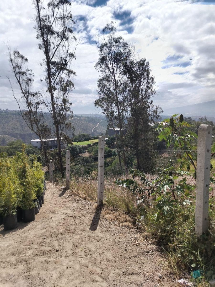 En Venta Terreno en Nayón — imagen 4