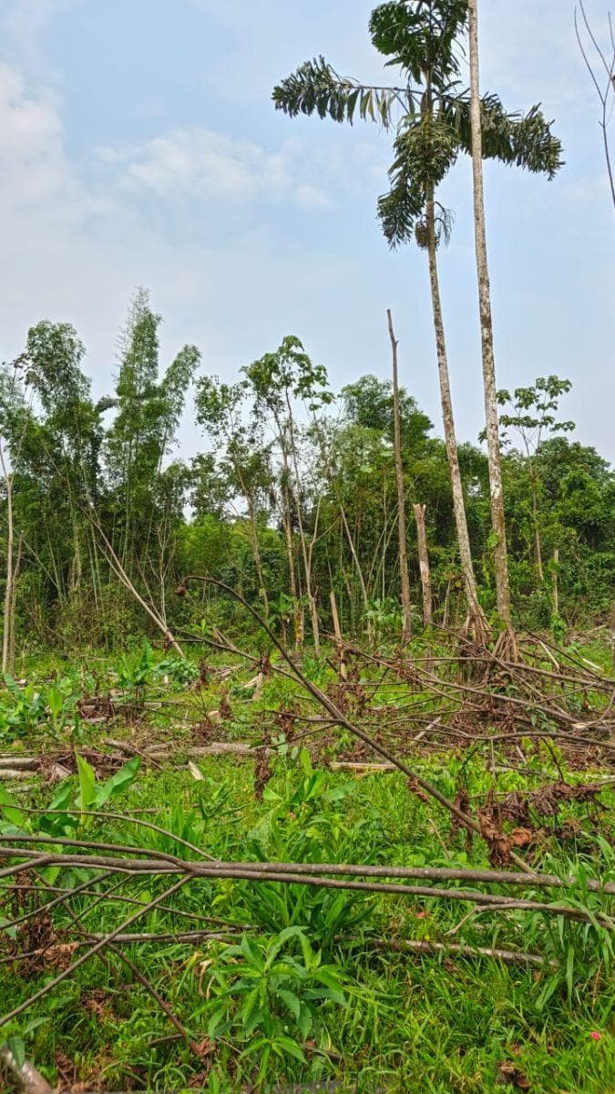 Terreno en Venta, Caserío El Porvenir, Puyo, Pastaza — imagen 9
