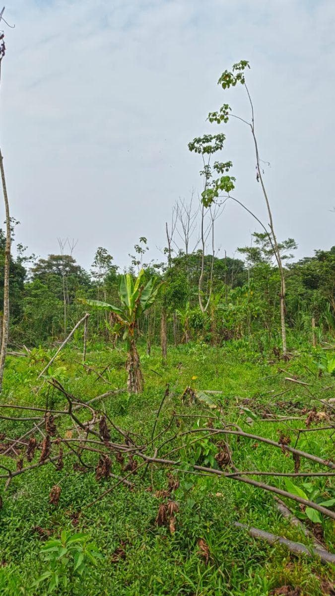 Terreno en Venta, Caserío El Porvenir, Puyo, Pastaza — imagen 7