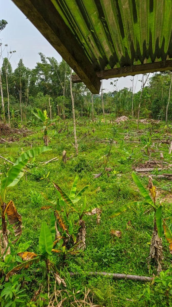 Terreno en Venta, Caserío El Porvenir, Puyo, Pastaza — imagen 6