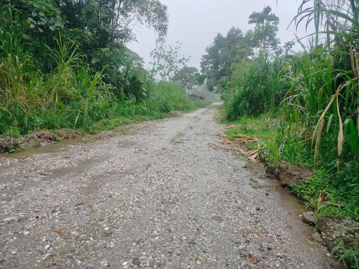 Terreno en Venta, Caserío El Porvenir, Puyo, Pastaza — imagen 5