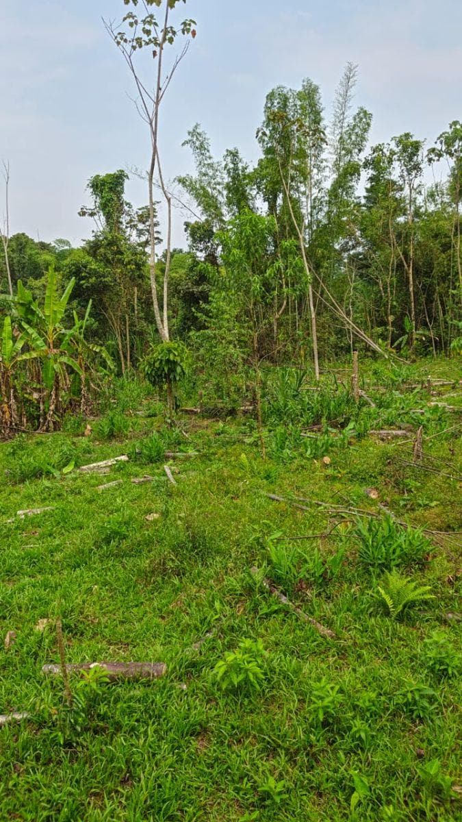 Terreno en Venta, Caserío El Porvenir, Puyo, Pastaza — imagen 2