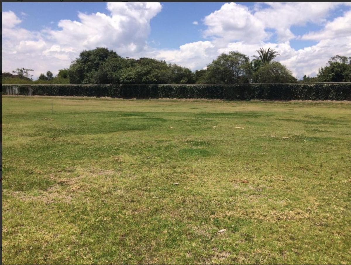 Terreno de Venta Ubicado Dentro de Una de Las Mejores Urbanizaciones en Puembo — imagen 3
