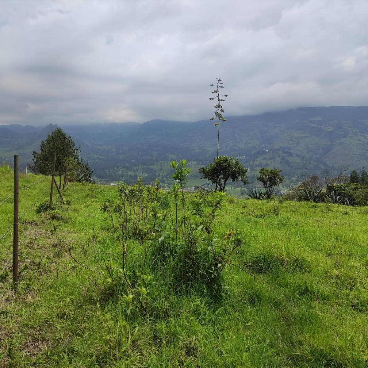 Terrenos de Venta en Azuay Zona Residencial, Sector Cachiloma, Azuay — imagen 1