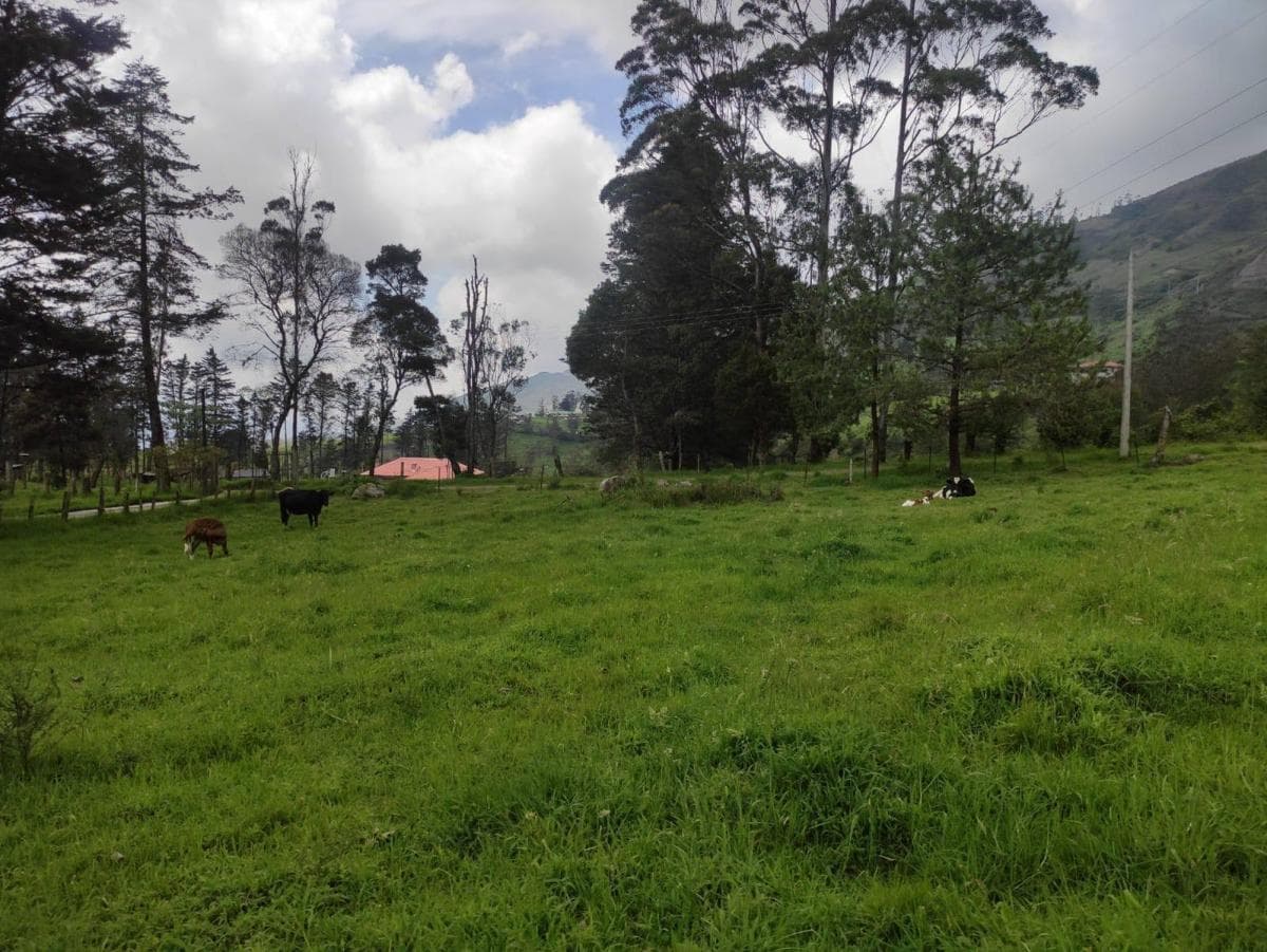 Terrenos de Venta en Azuay Zona Residencial, Sector Cachiloma, Azuay — imagen 10
