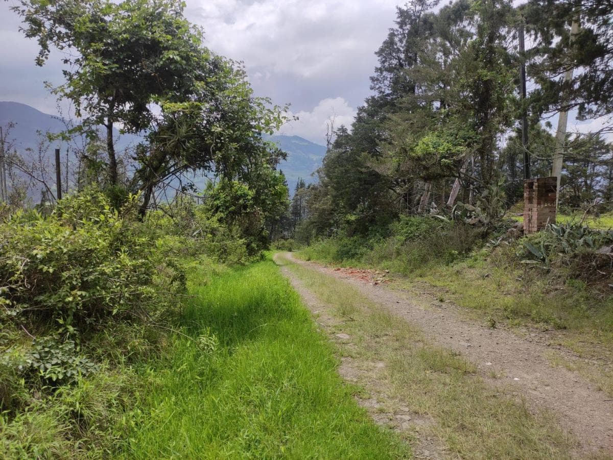 Terrenos de Venta en Azuay Zona Residencial, Sector Cachiloma, Azuay — imagen 9