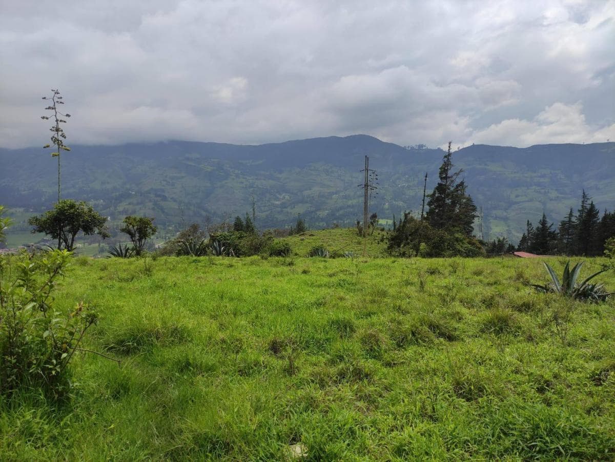 Terrenos de Venta en Azuay Zona Residencial, Sector Cachiloma, Azuay — imagen 7